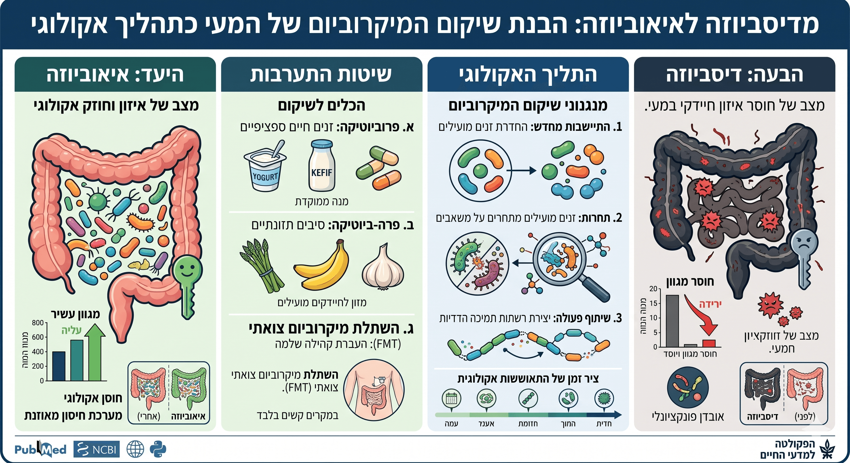 מדיסביוזה לאיאוביוזה: הבנת שיקום המיקרוביום של המעי כתהליך אקולוגי