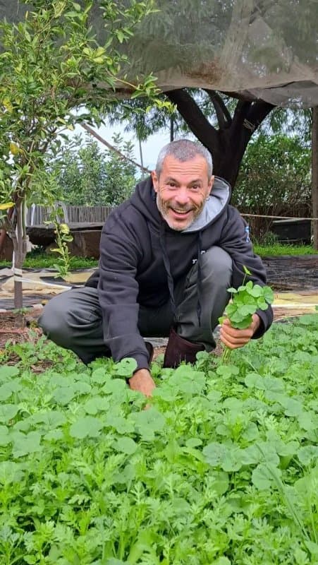 שיבת המינים, צמחי מרפא, בבית השיטה